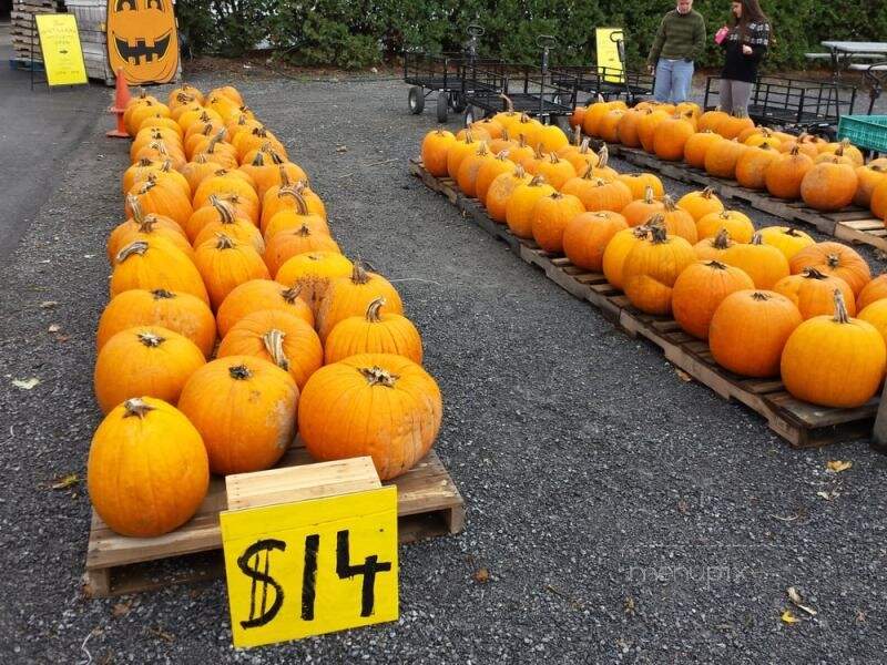 Golden Harvest Farm - Valatie, NY