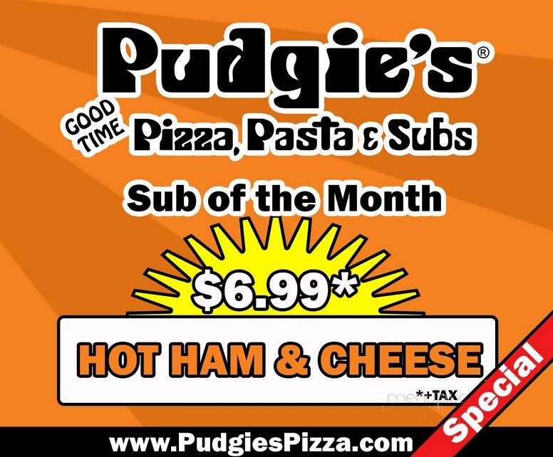 Pudgie's Pizza & Sub Shops - Elmira, NY