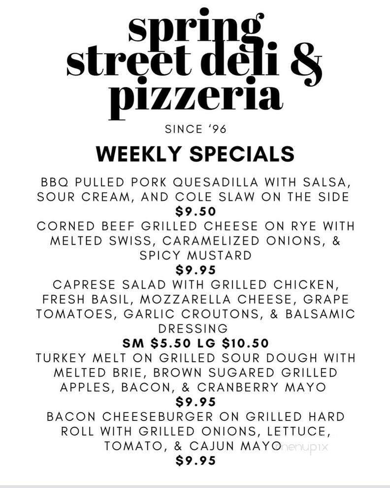 Spring Street Deli & Pizzeria - Saratoga Springs, NY