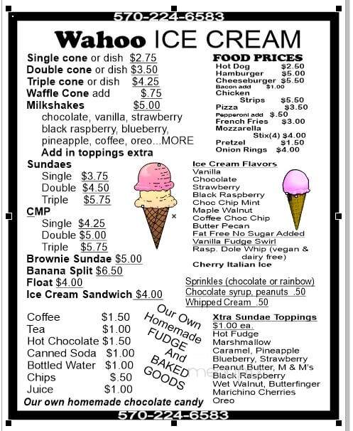 Wahoo Ice Cream Shop - Tyler Hill, PA